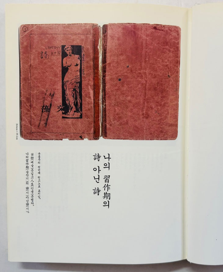 윤동주 자필 시고전집 사진판 / 민음사 / 1999년 초판 / 390페이지