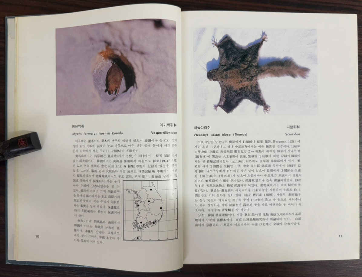 경기도의동식물도감 1982년 / 경기도 / 1982년 초판 / 238페이지