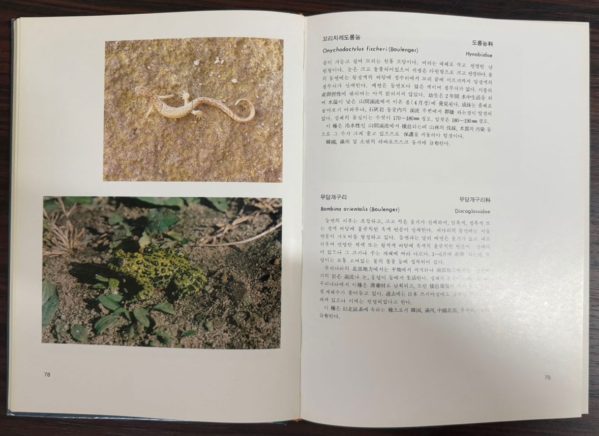 경기도의동식물도감 1982년 / 경기도 / 1982년 초판 / 238페이지