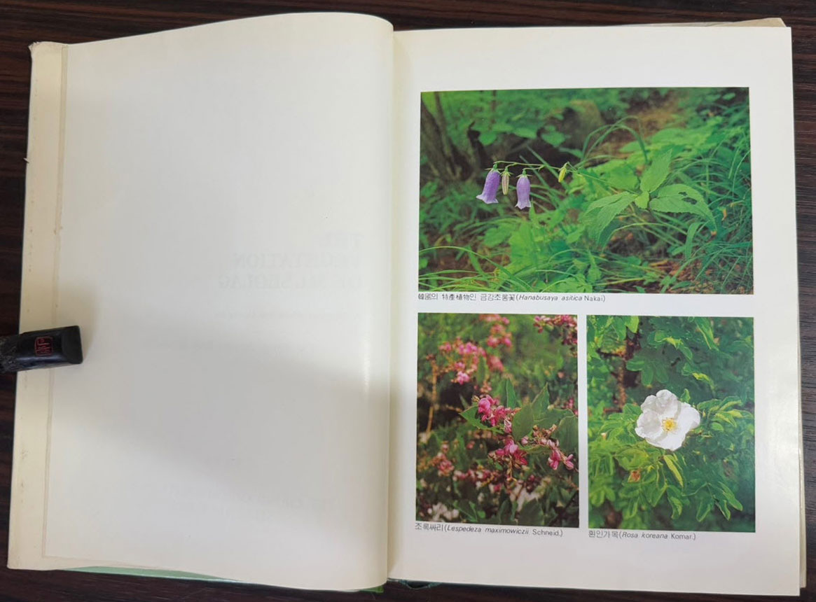 자연보전지구 설악산의식생 / 임양재. 백순달 / 중앙대학교출판부 / 1985년 초판 / 199페이지