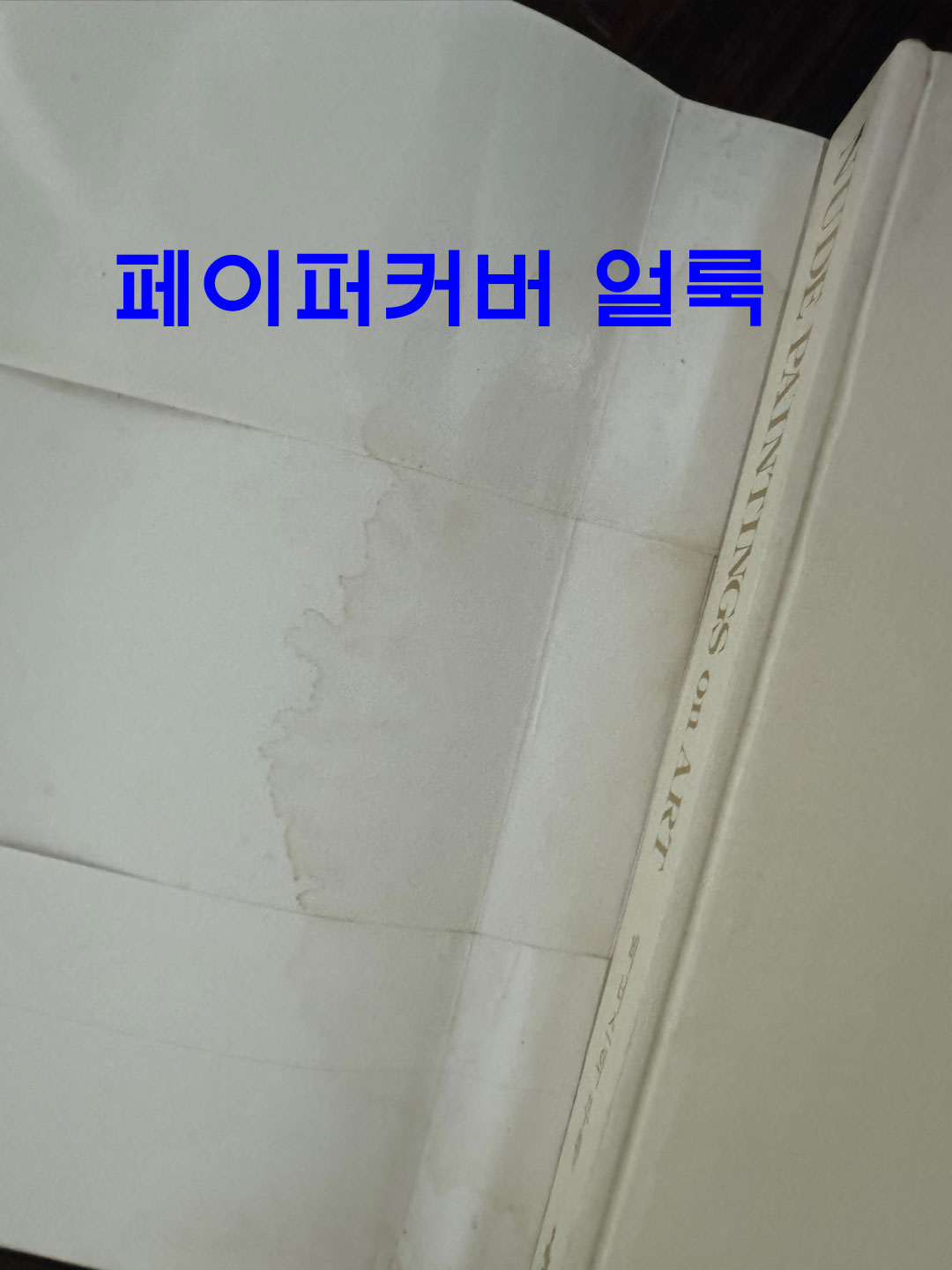 NUDE PAINTINGS on ART/1.비너스의탄생, 2.비너스의혼돈, 3.비너스의 부활 전3권 완질 세트 / 1993년 / 1184페이지