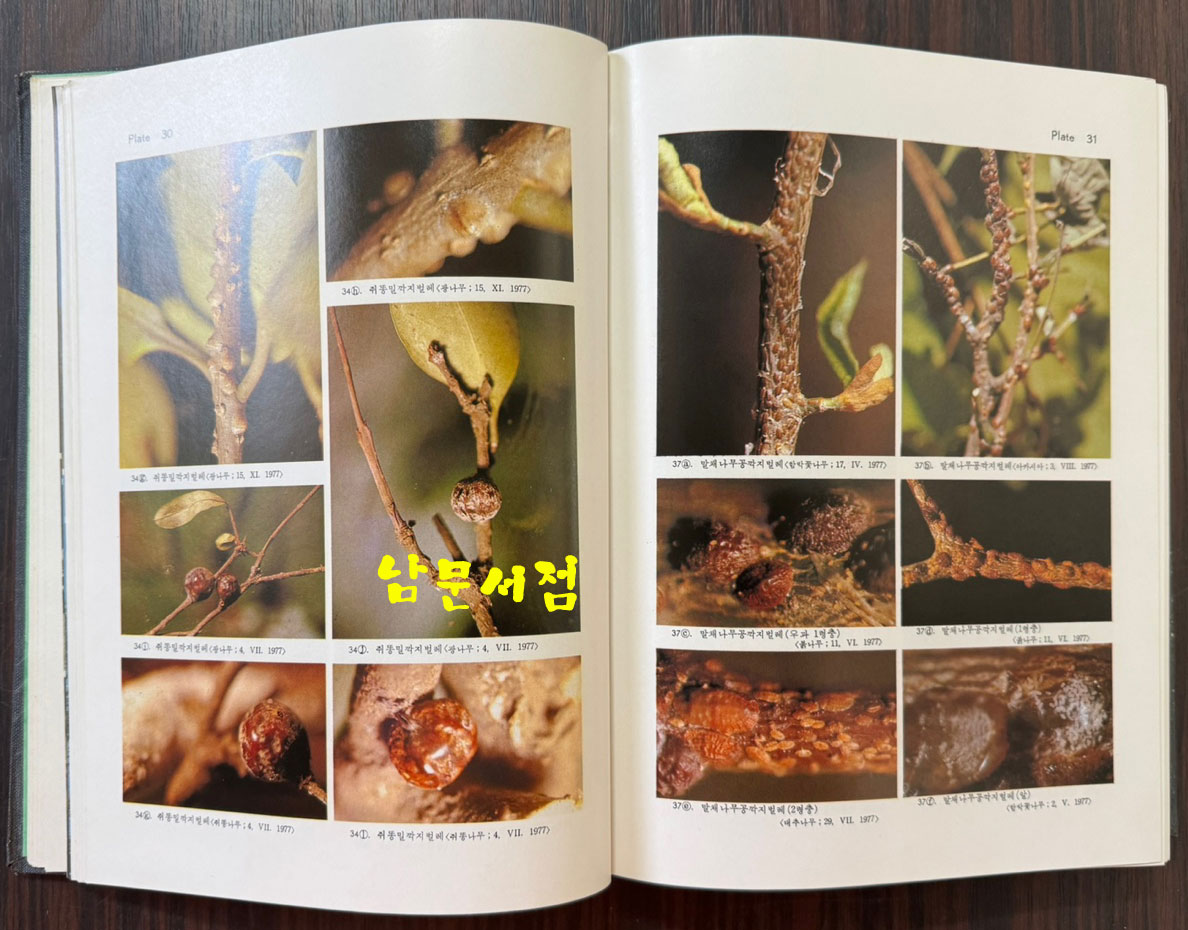 한국동식물도감 제22권 동물편 - 곤충류 6 / 문교부 / 1978년 초판 / 481페이지