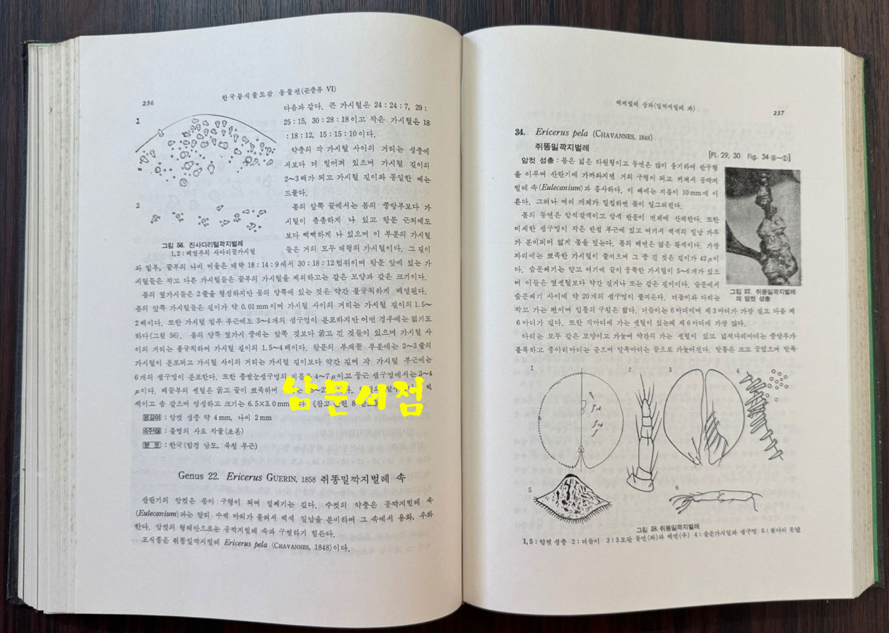 한국동식물도감 제22권 동물편 - 곤충류 6 / 문교부 / 1978년 초판 / 481페이지