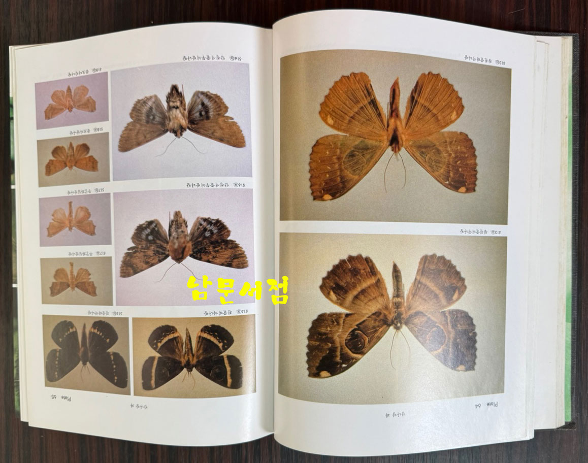 한국동식물도감 제26권 동물편 - 곤충류 8 / 문교부 / 1982년 초판 / 929페이지